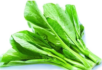 菜心