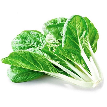 黑叶小白菜