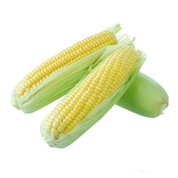 玉米