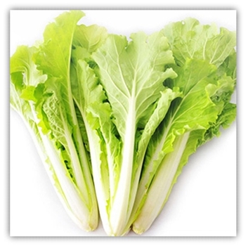 快菜