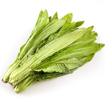 油麦菜